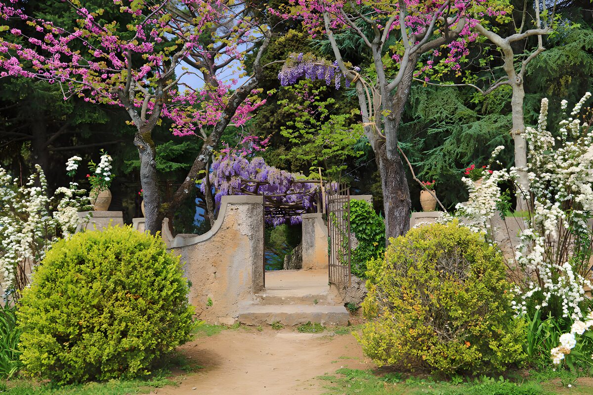 Tuinpoort tussen roze en witte bloesem
