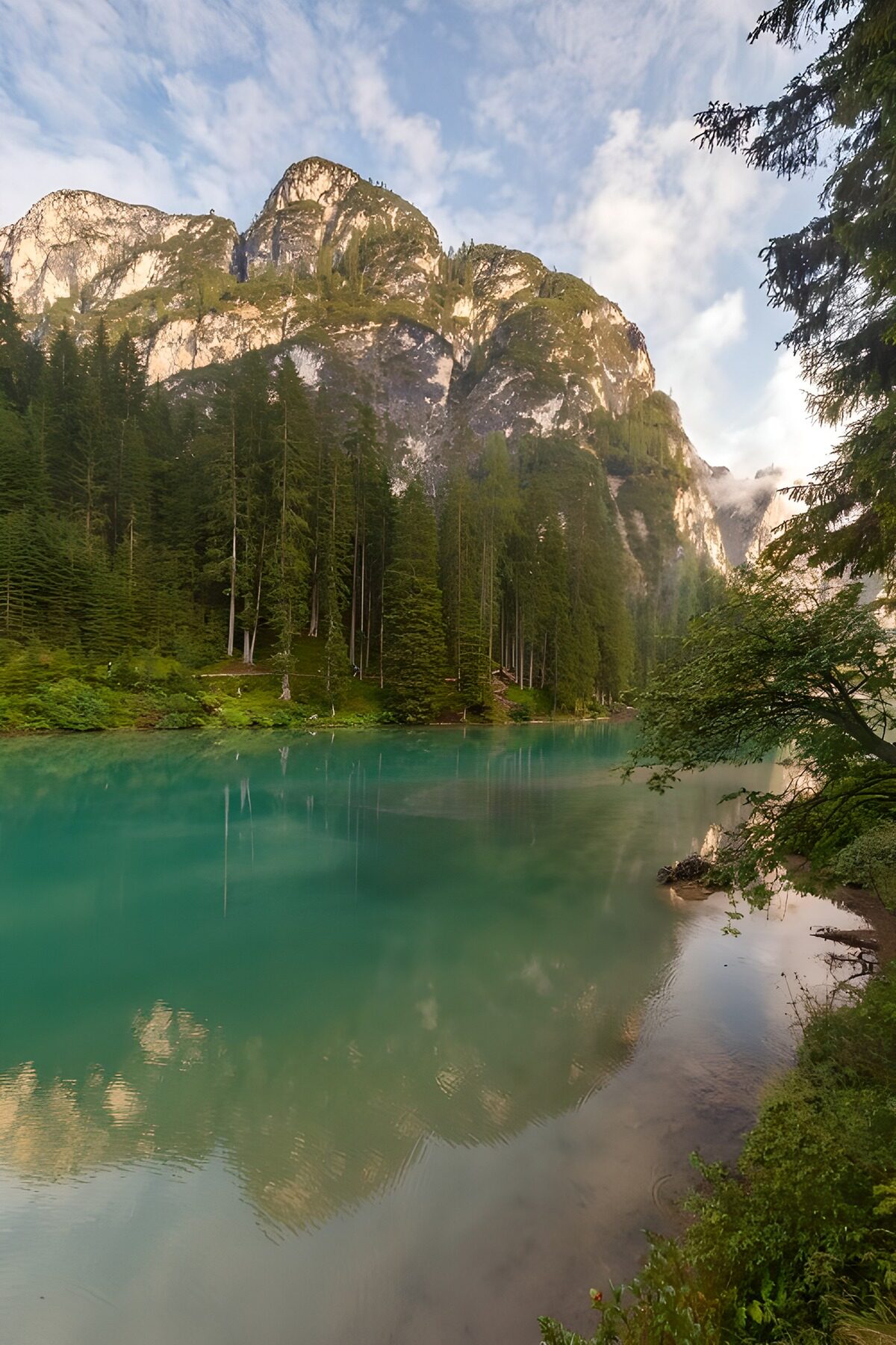 Turquoise bergmeer met naaldbos