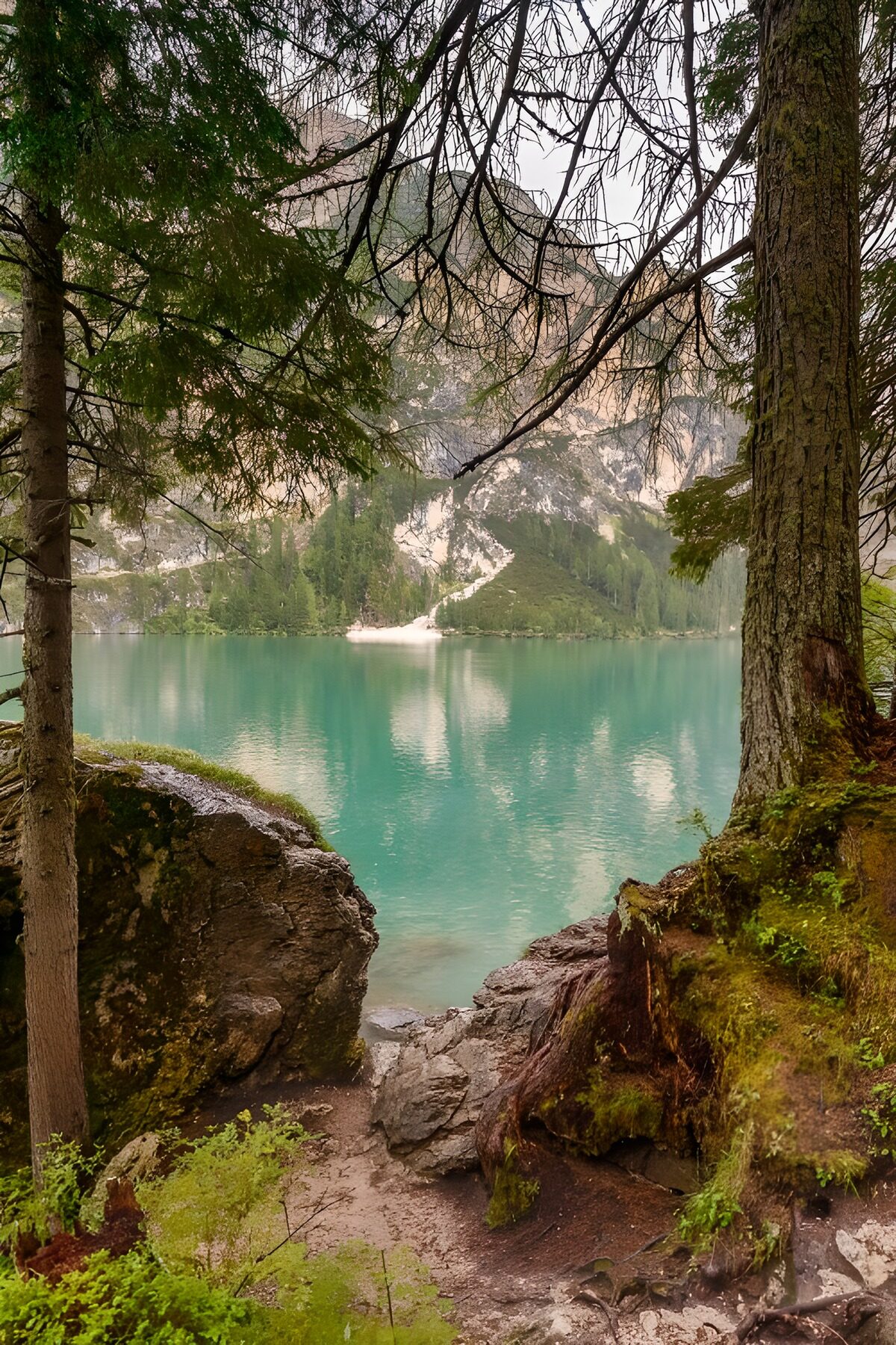 Turquoise bergmeer tussen de bomen