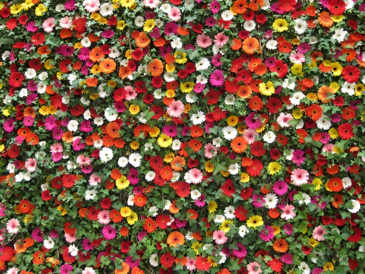 Bonte bloemenwand vol groen