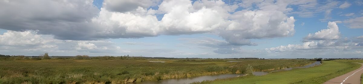 Weids grasland met sloot en fietspad