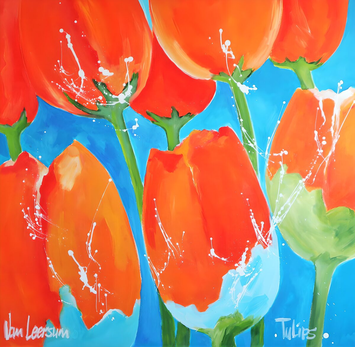 Oranjerode tulpen op helderblauw
