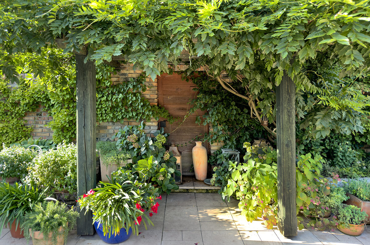 Groene pergola vol potplanten