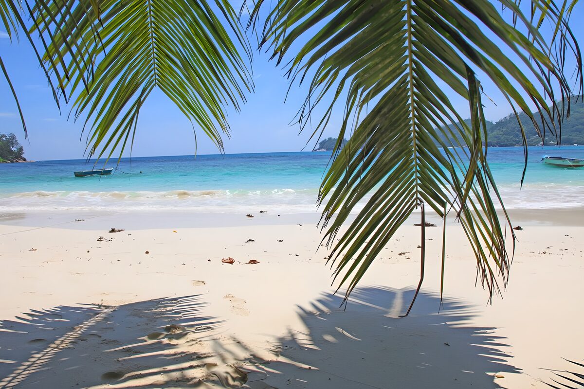 Tropisch strand in de palmschaduw