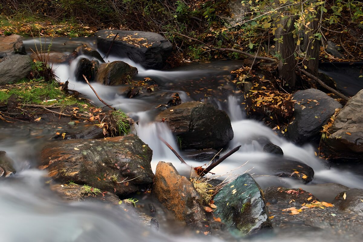 Witte waterlinten door het herfstbos