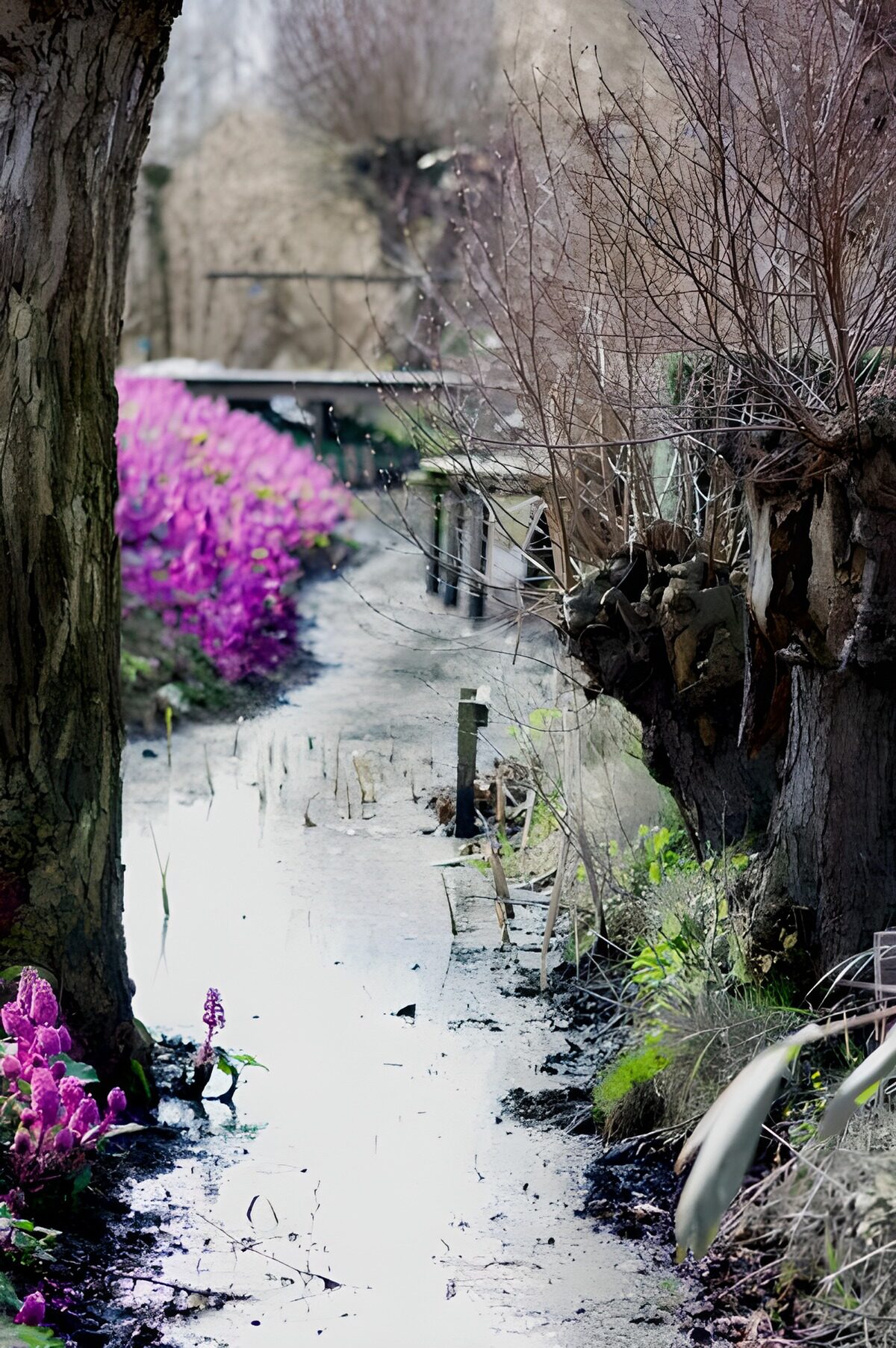 Tuinsloot tussen stammen en roze bloemen