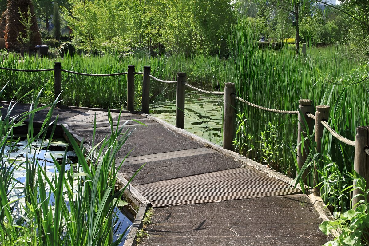 Houten loopbrug tussen het vijvergroen