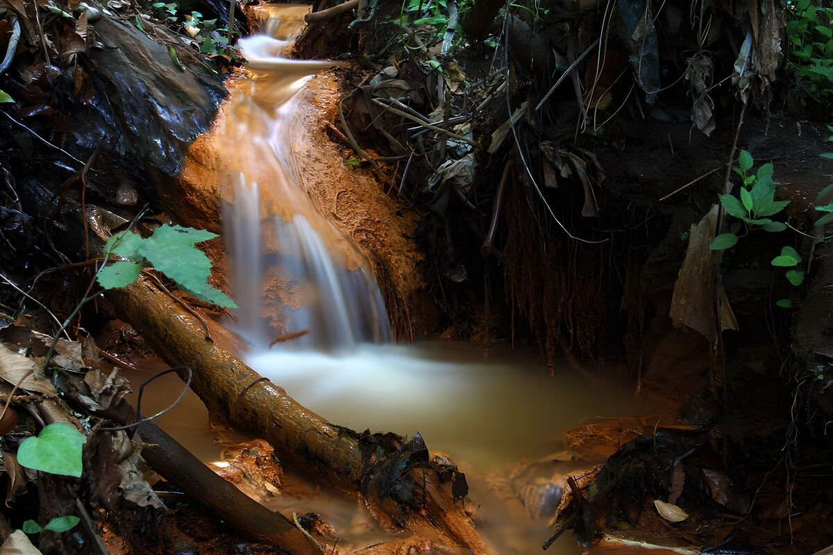 Kleine waterval tussen wortels