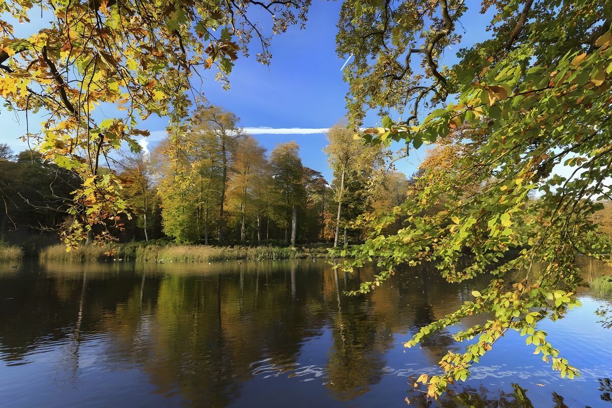 Herfstbomen weerspiegeld in het water