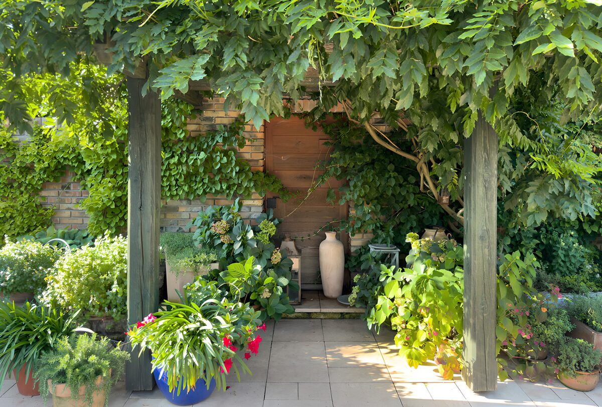 Groene patio vol potplanten