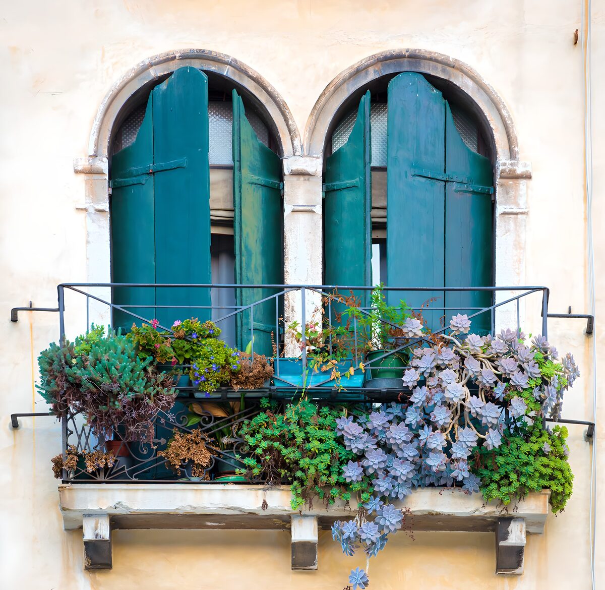 Balkon met turquoise luiken en vetplanten