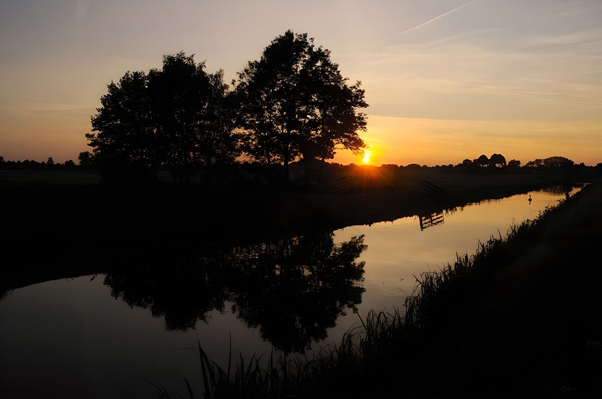 Zonsondergang met bomen langs de sloot