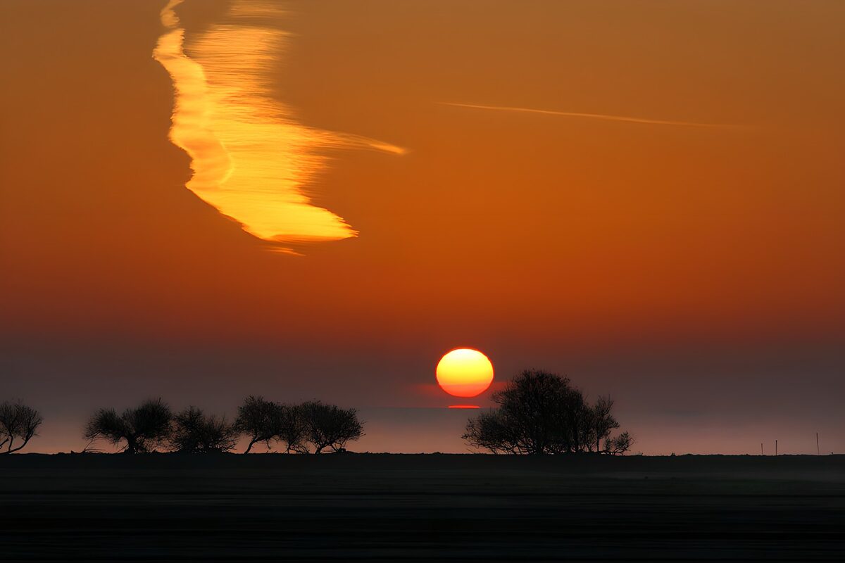 Zonsondergang met bomen in silhouet