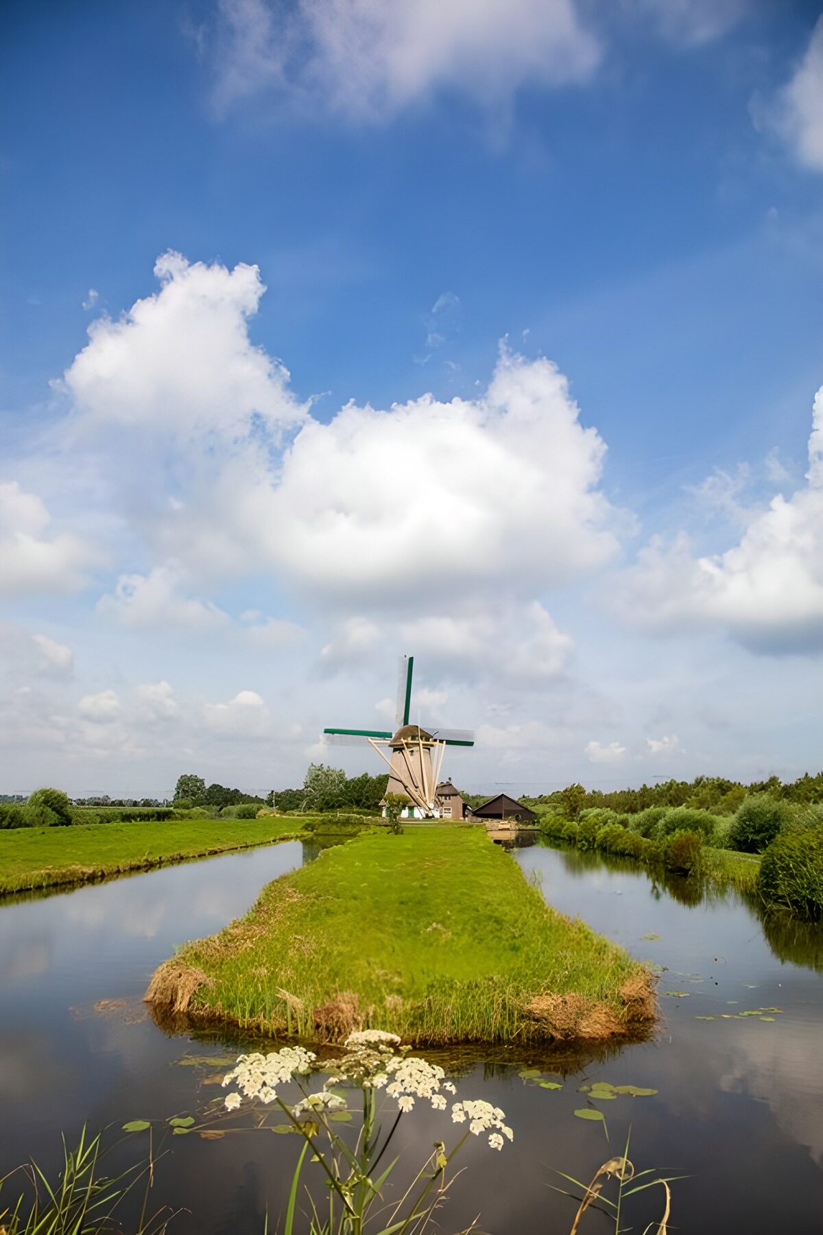 Windmolen tussen groene oevers