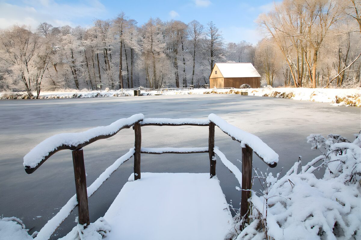 Besneeuwde steiger aan een bevroren vijver
