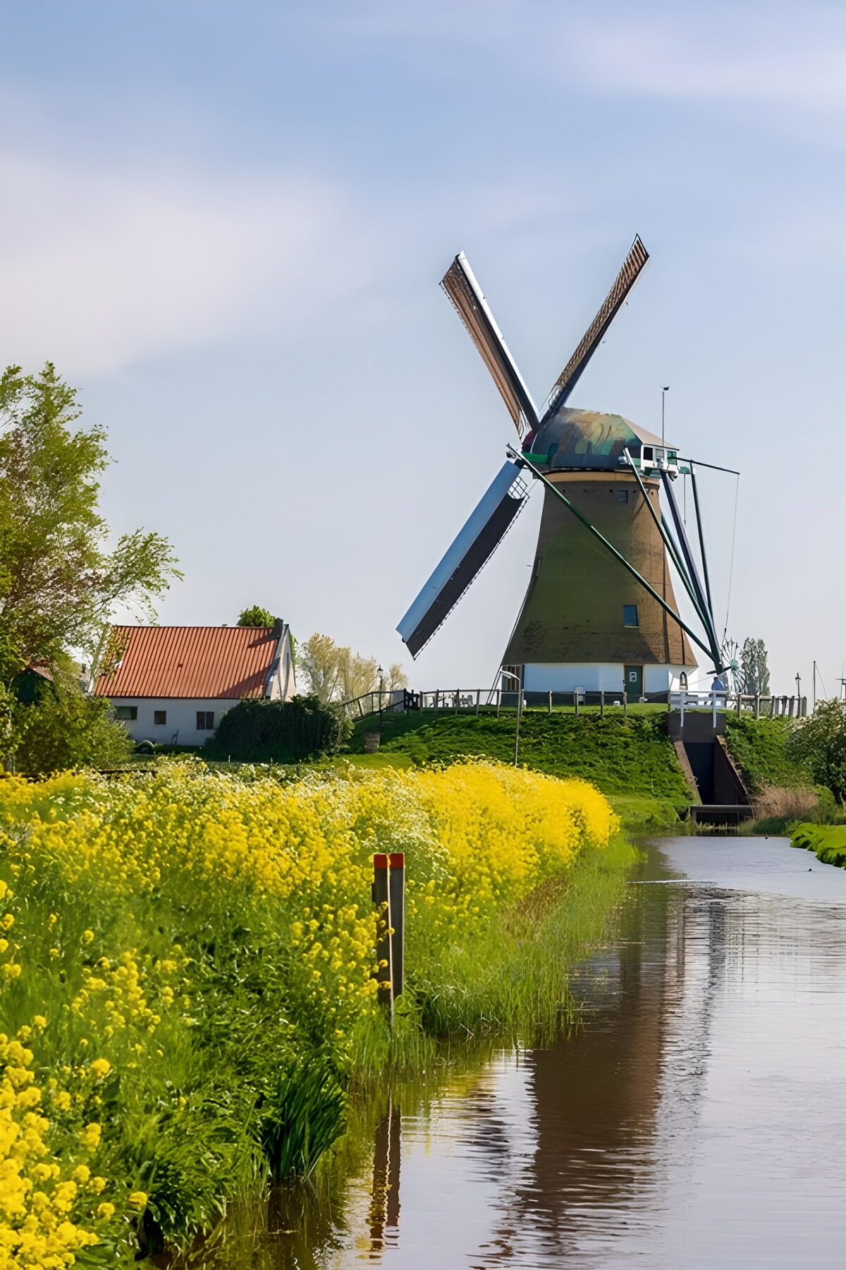 Windmolen aan een bloemrijke sloot