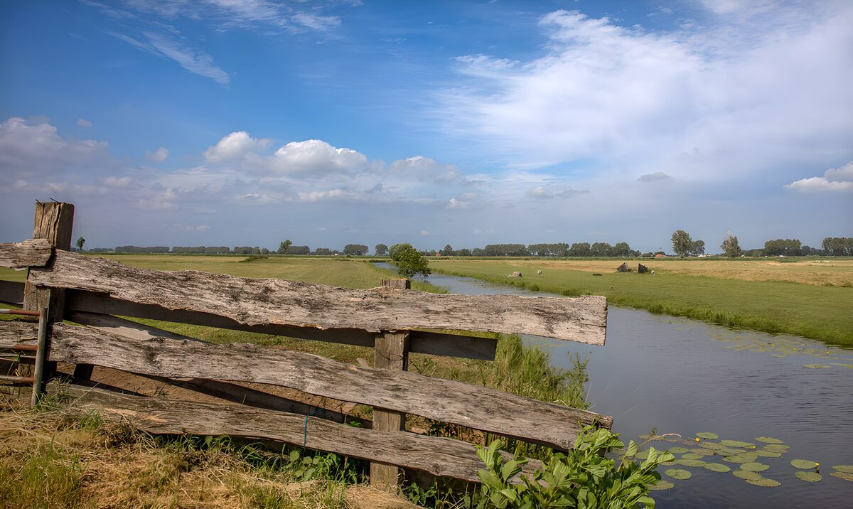 Weiland met sloot en houten hek