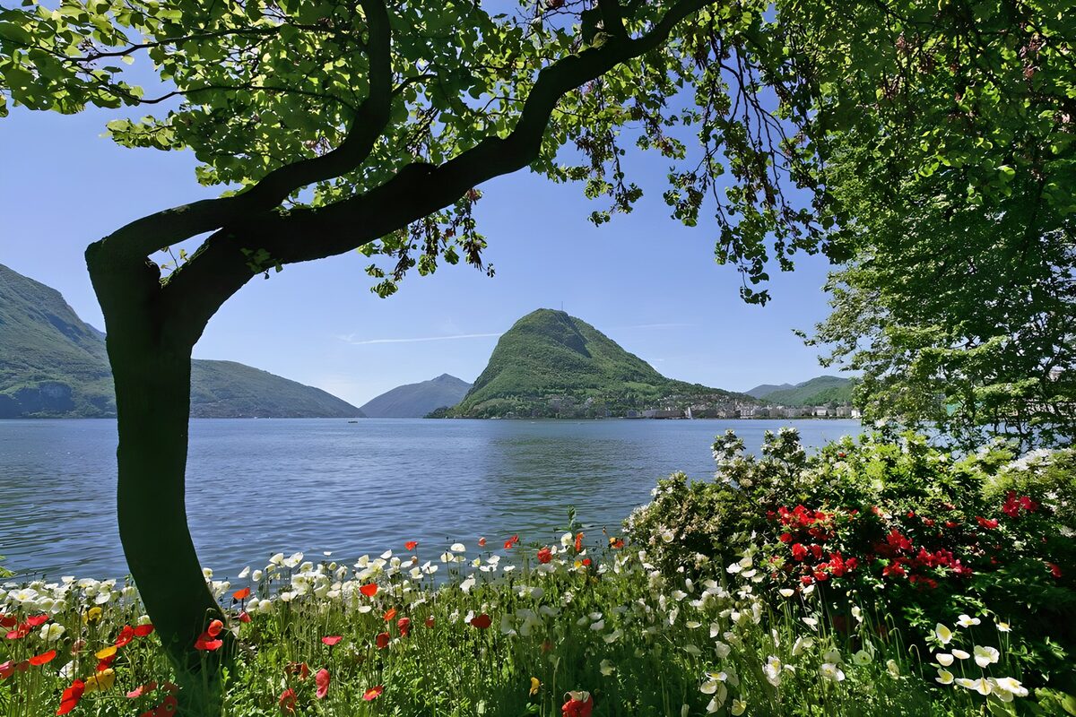 Zomers meer met bergen en bloemen