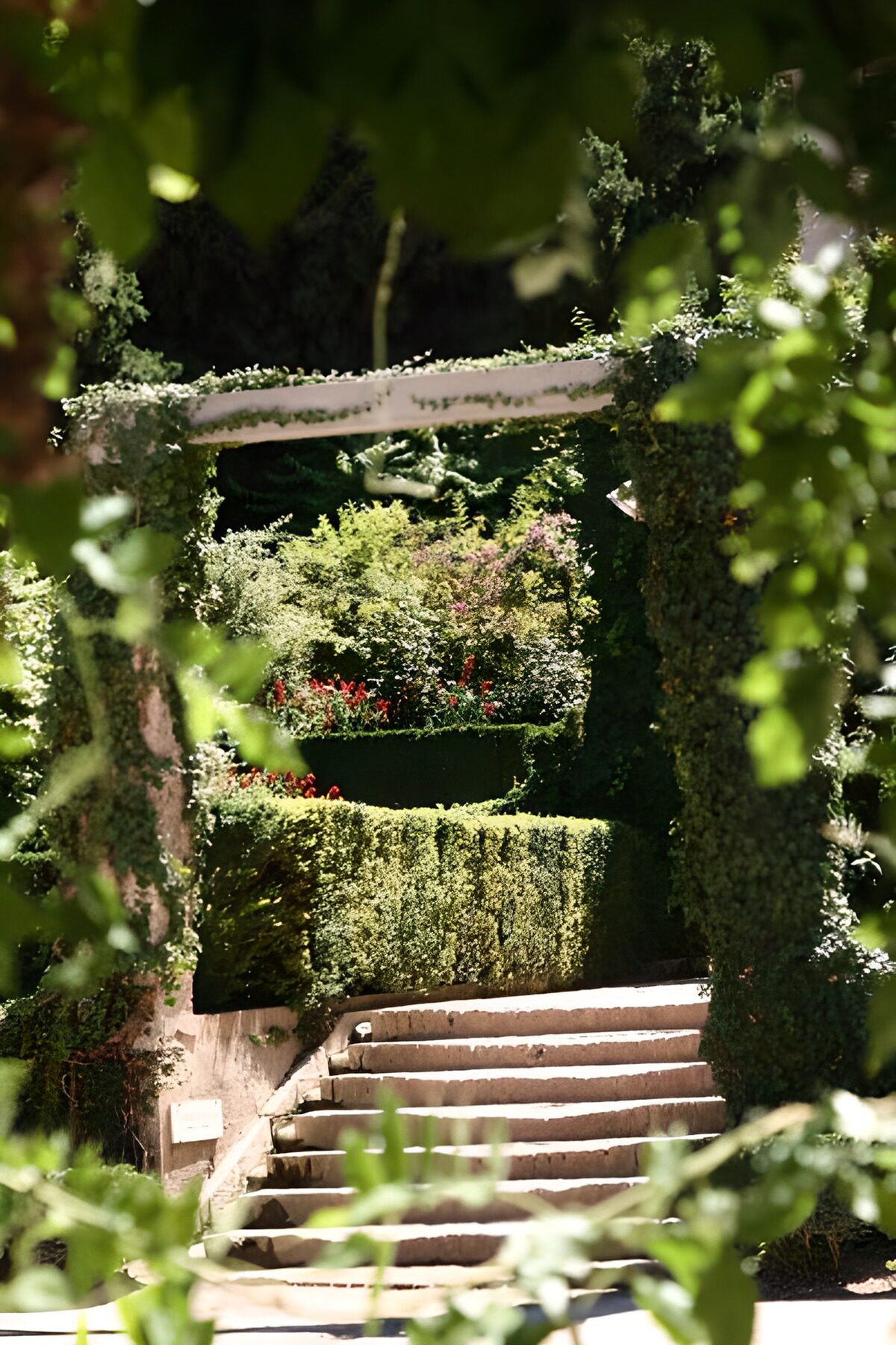 Zonnige tuintrap tussen groene zuilen