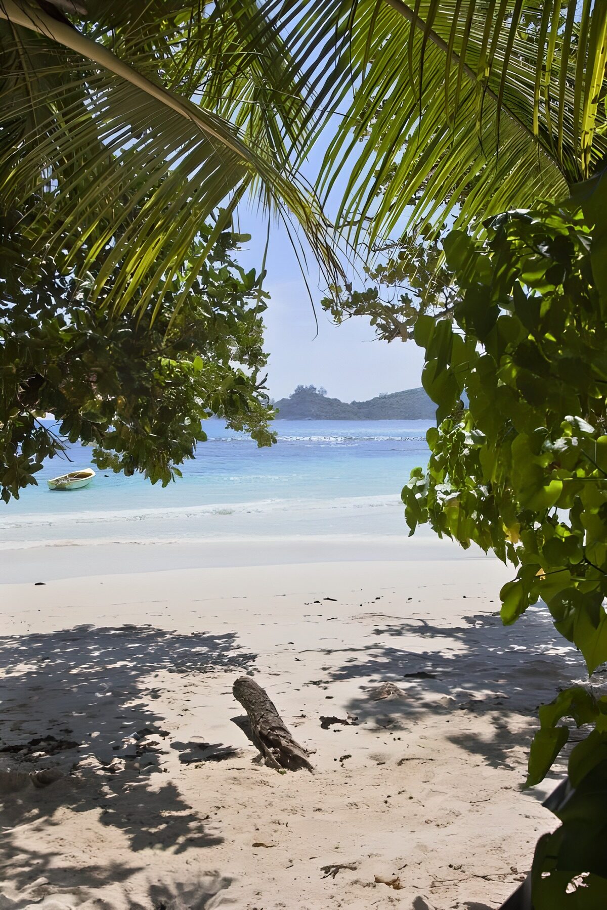 Tropisch strand onder palmbladeren