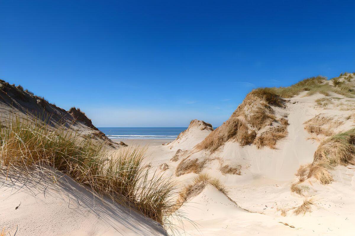 Duinen met zeezicht