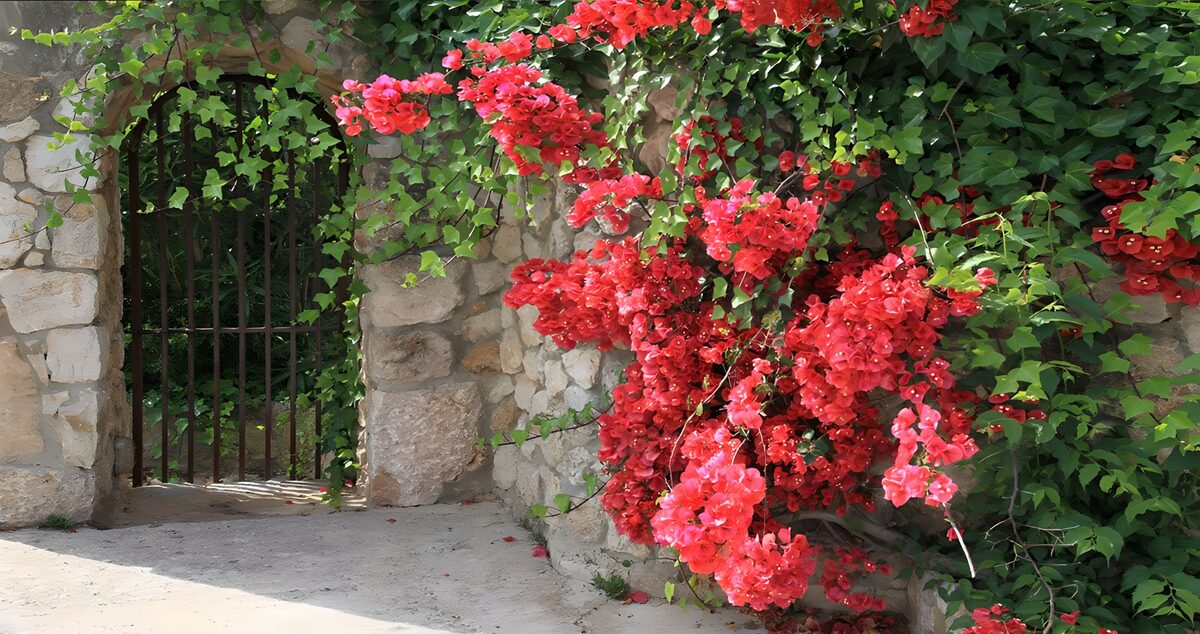 IJzeren tuinpoort in een bloemenmuur