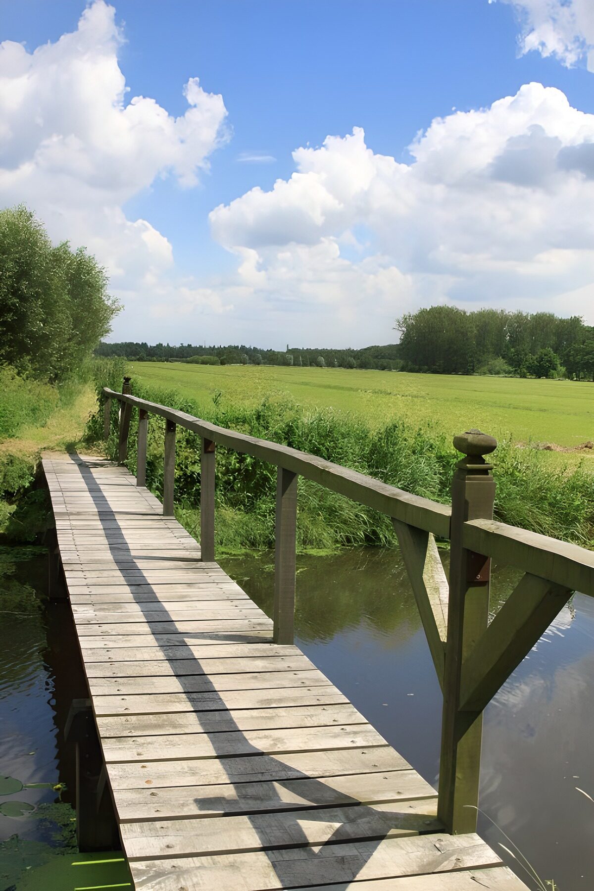 Houten brug naar de groene weide