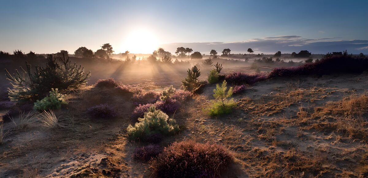 Zonsopgang boven zand en heide