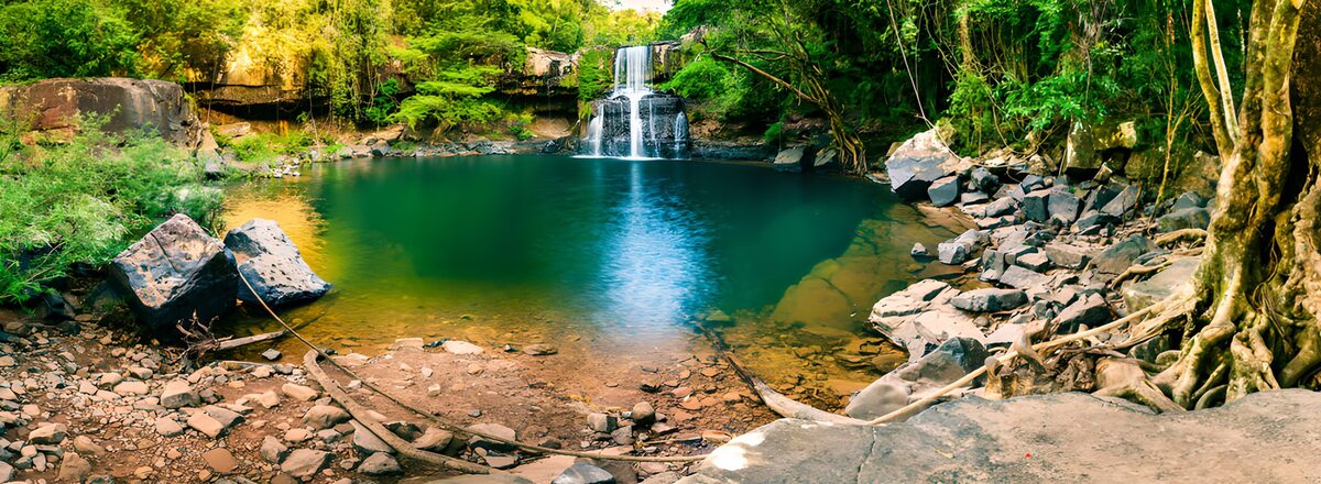 Waterval boven een groene bospoel