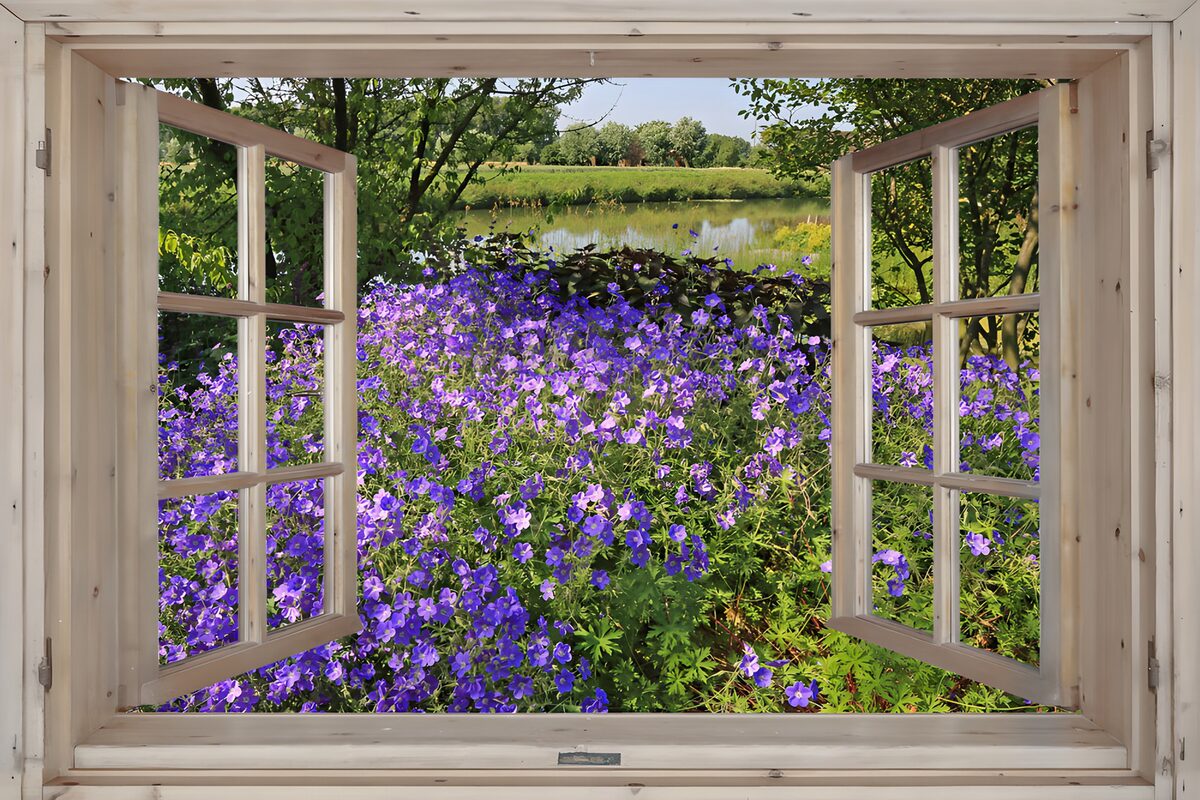 Open raam met paarse bloemen