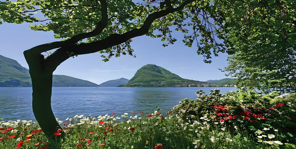 Bloemen aan het meer onder de bomen