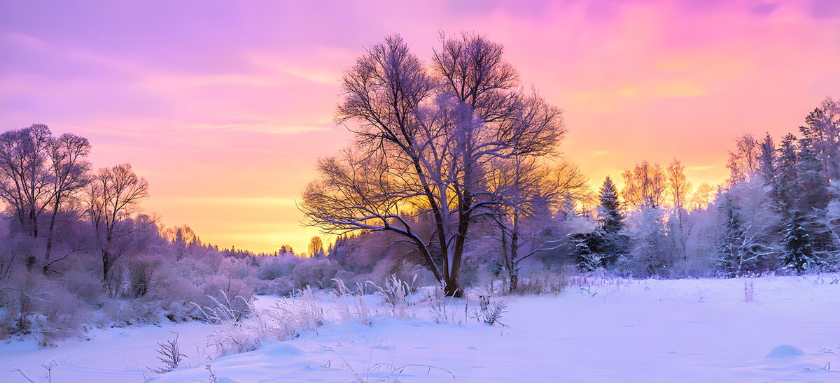Winterlandschap onder een roze lucht
