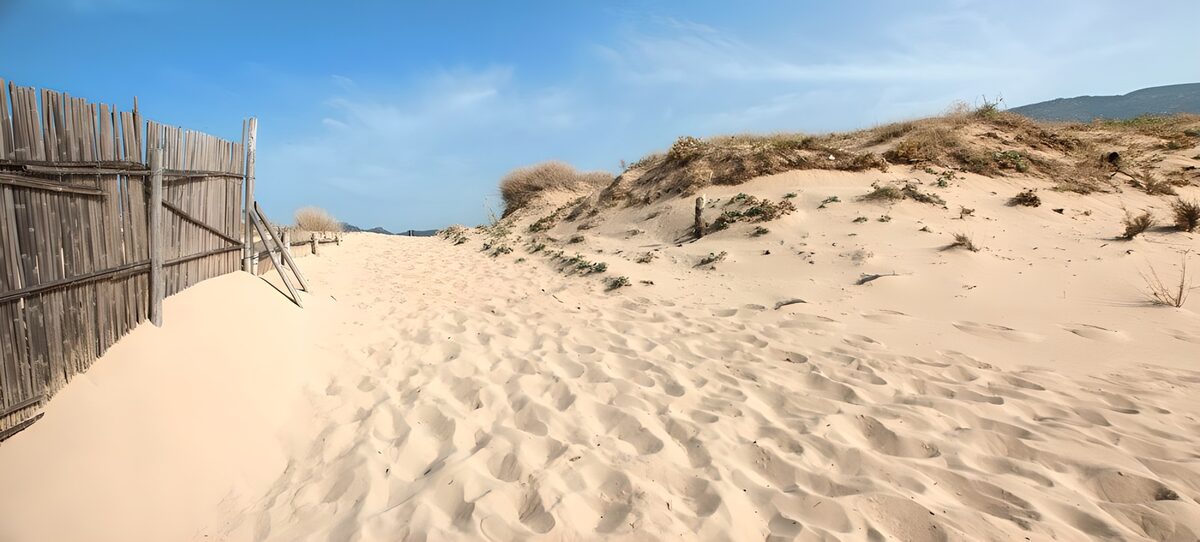 Zonnig zandpad langs een houten schutting