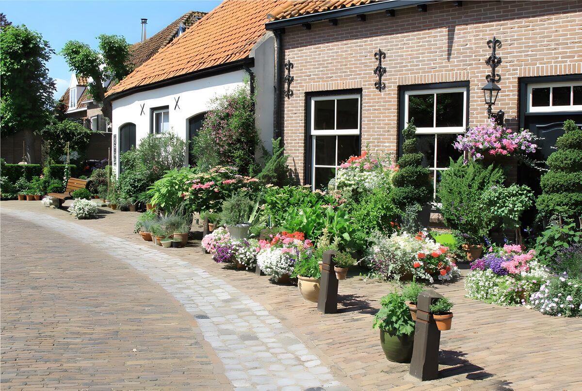 Zonnige straat vol bloemen en potten