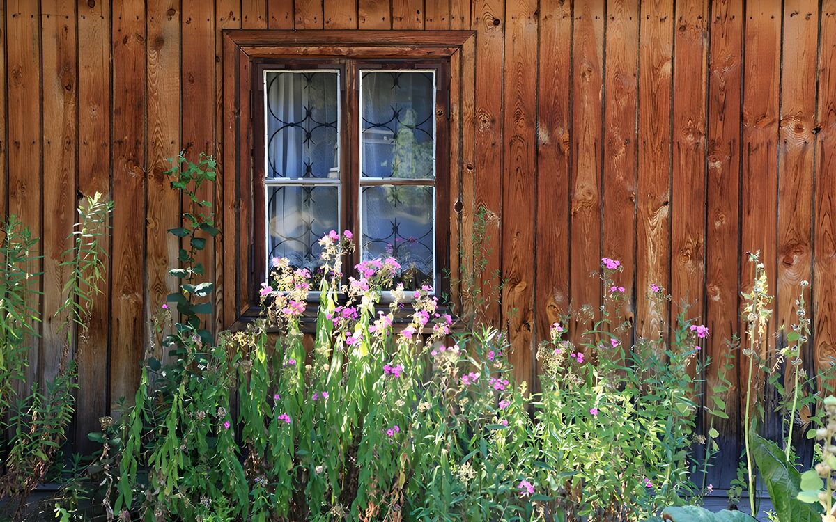 Houten gevel met raam en zomerbloemen
