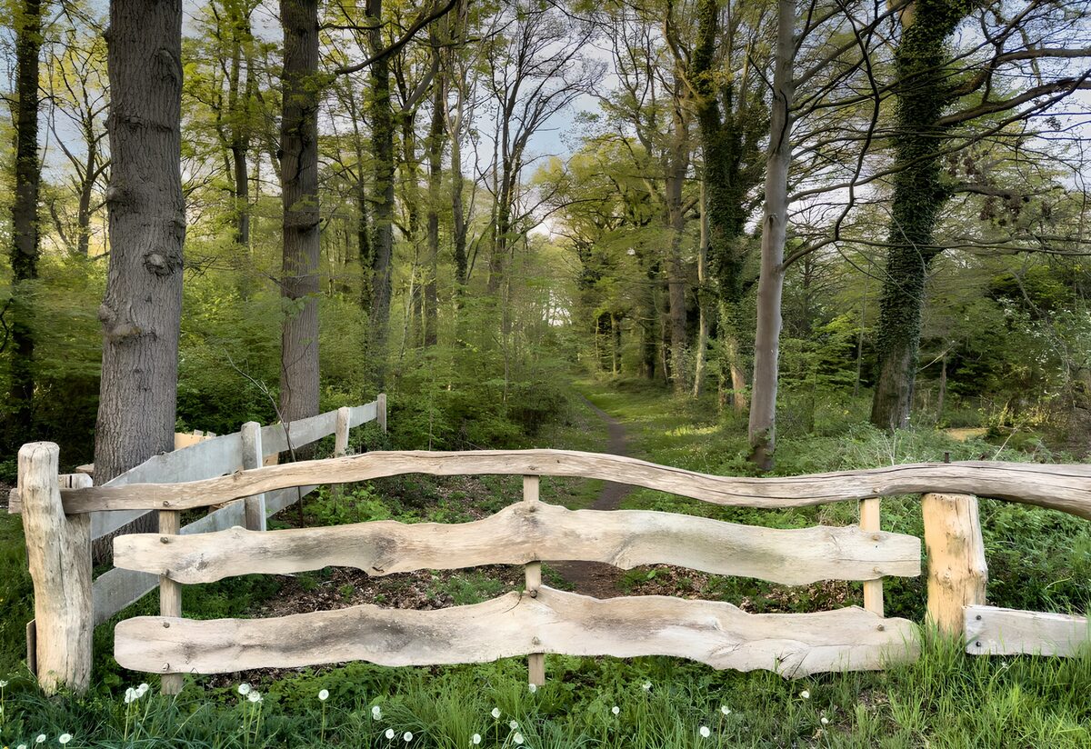 Houten hek voor een groen bospad