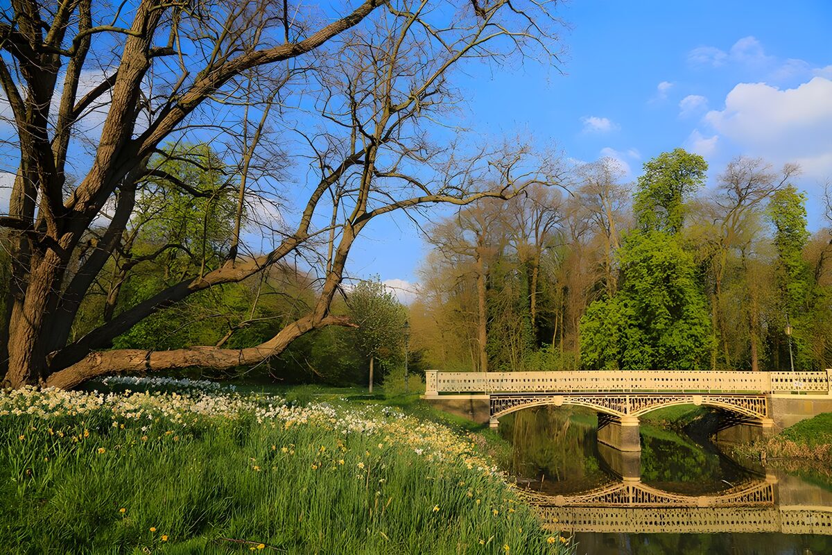 Voorjaarspark met brug en bloemen