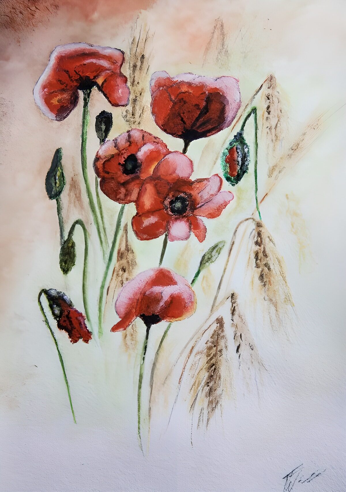 Rode en roze klaprozen in aquarel
