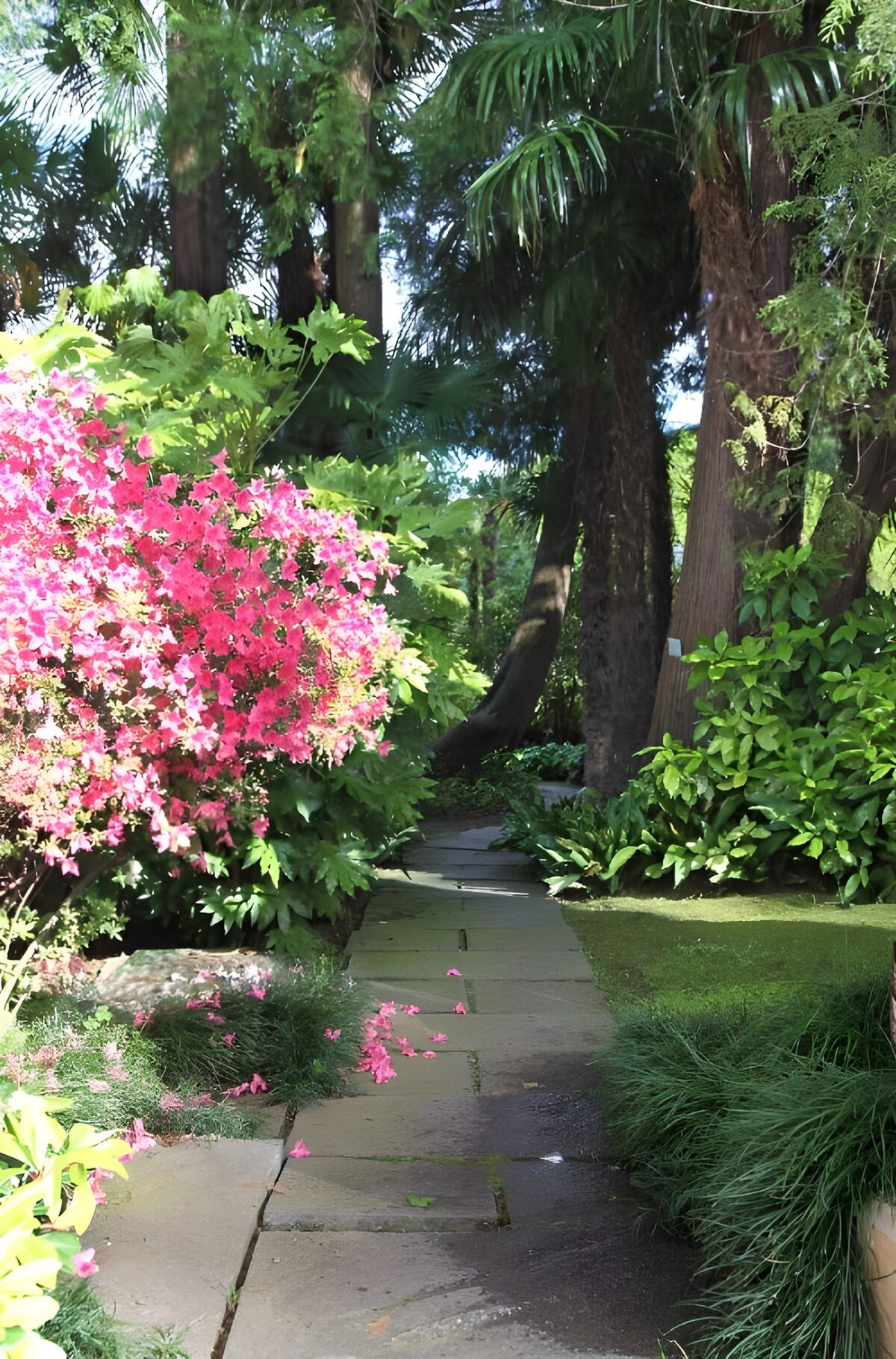 Tuinpad met roze bloemen en palmen