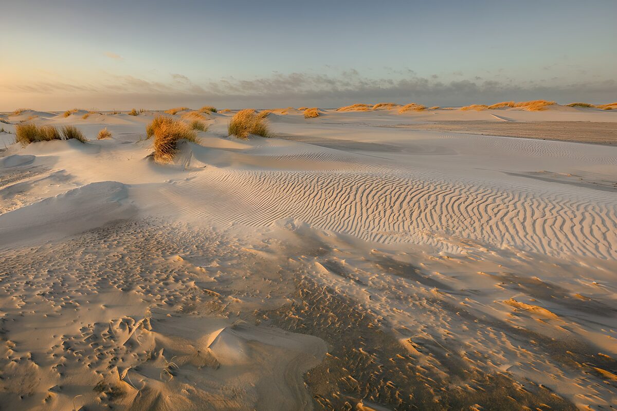 Zandduinen in warm avondlicht