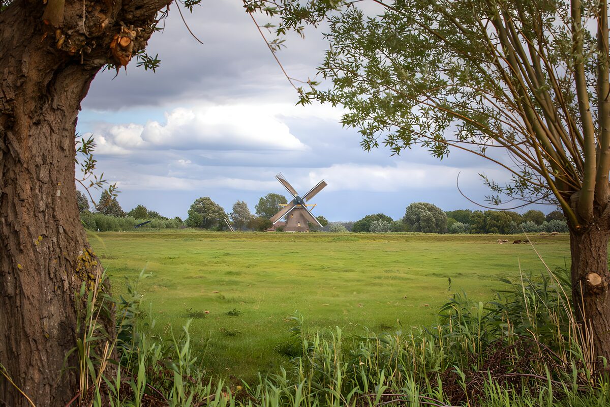 Windmolen achter een groen weiland