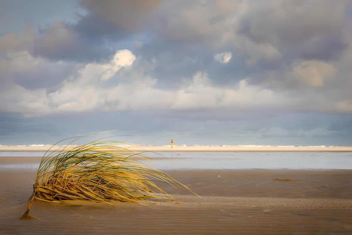 Strandgras onder een wolkenlucht