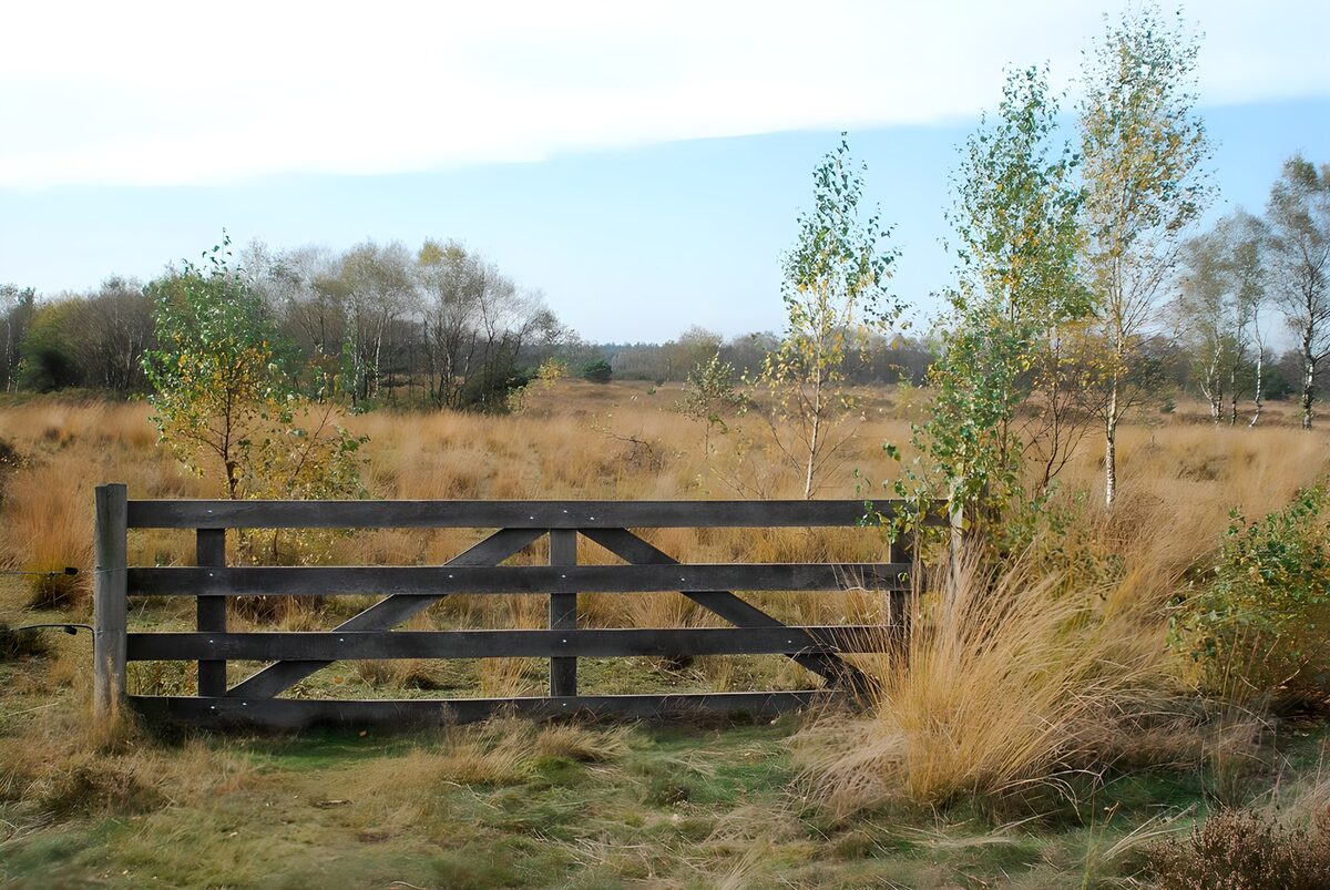 Houten hek in herfstig grasland