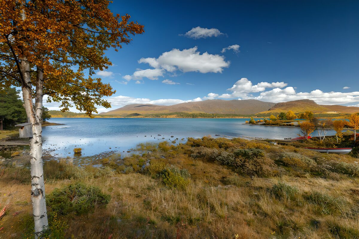 Herfstmeer met berken en bootjes