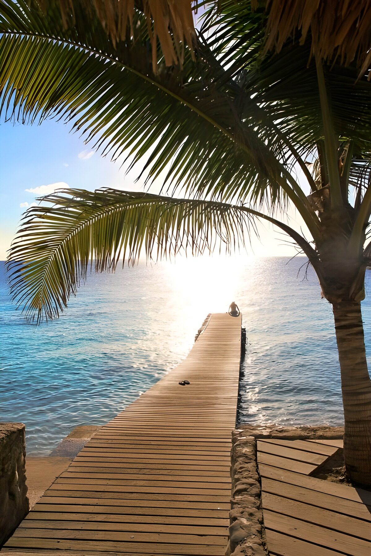 Houten steiger onder de palm