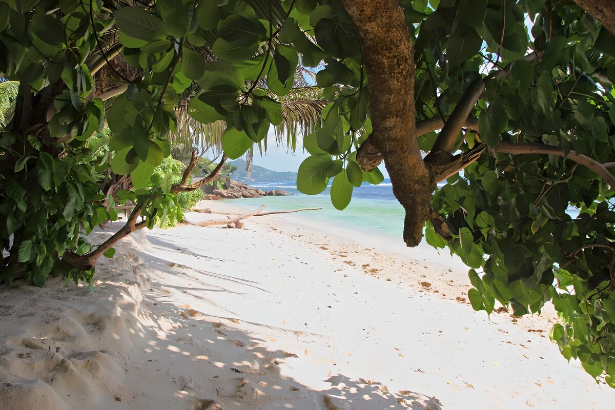 Tropisch strand in de schaduw
