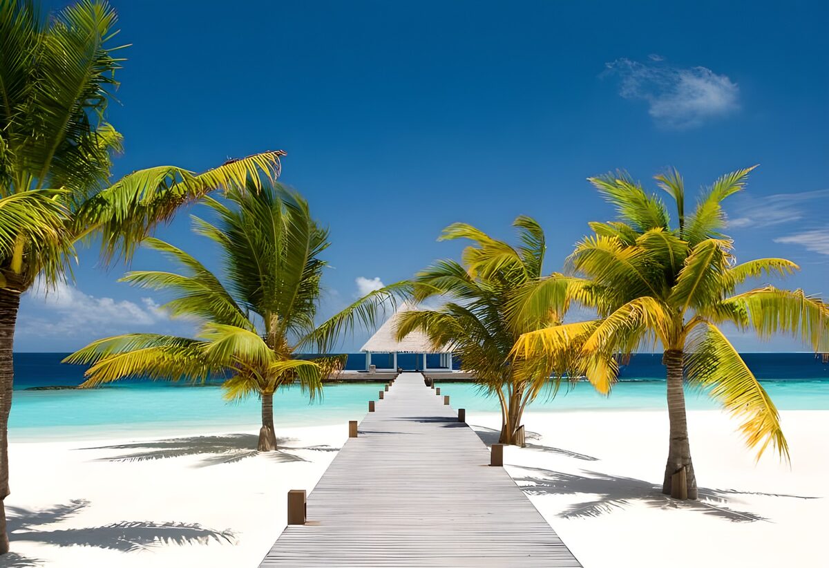 Wit strand met palmen en houten steiger