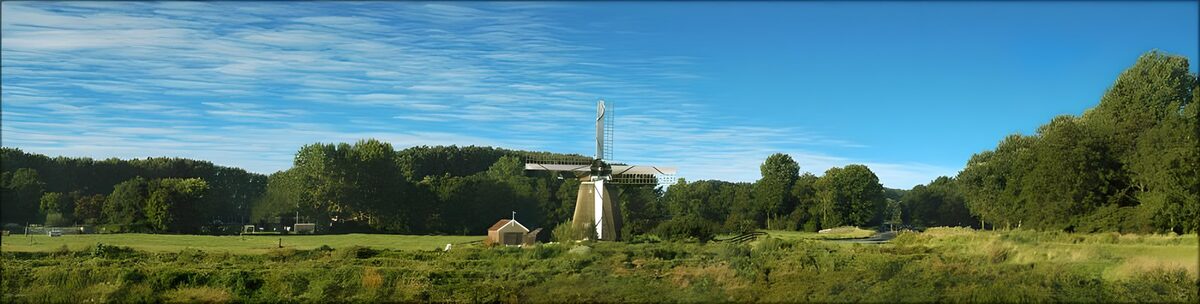 Windmolen in een zonnige groene weide