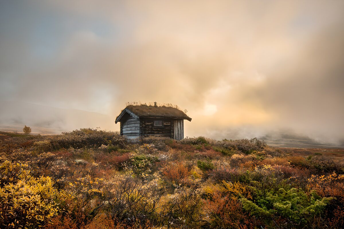 Houten hut in gouden herfstmist
