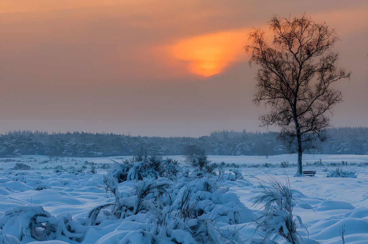 Besneeuwd veld onder een oranje winterzon